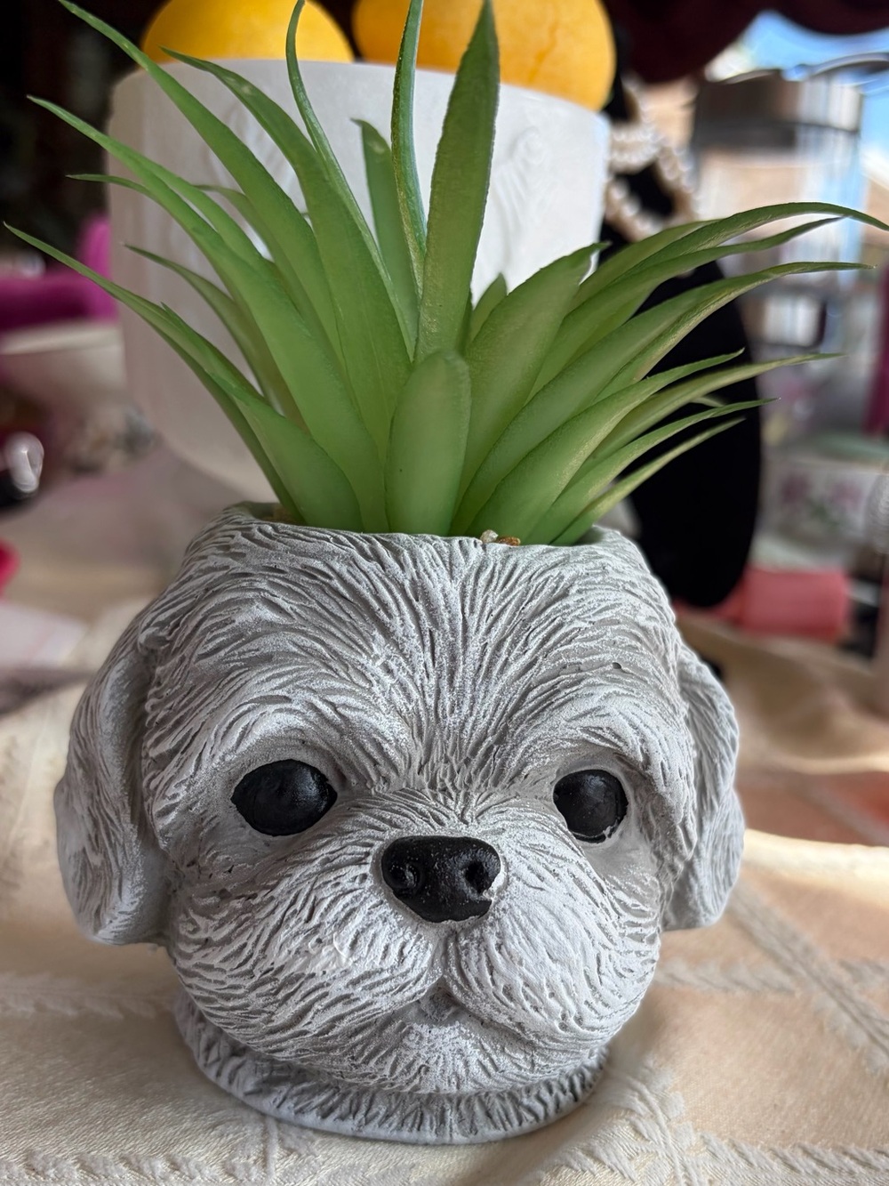 Cute Puppy Face Planter with Faux Succulent
